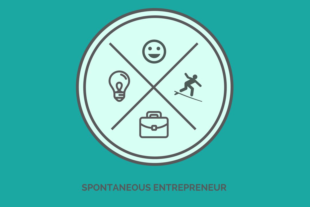 Image result for spontaneous entrepreneur